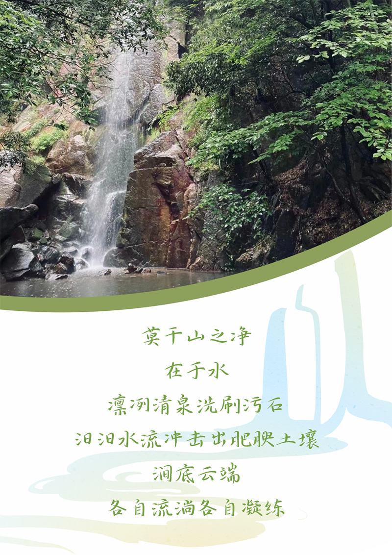 心心念廿 相伴维多利亚老品牌vic | 与德清相约 贺廿载诞辰